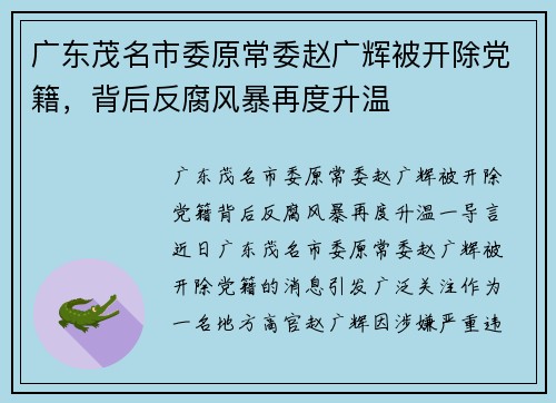 广东茂名市委原常委赵广辉被开除党籍，背后反腐风暴再度升温