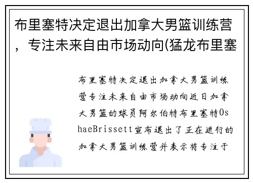 布里塞特决定退出加拿大男篮训练营，专注未来自由市场动向(猛龙布里塞特)