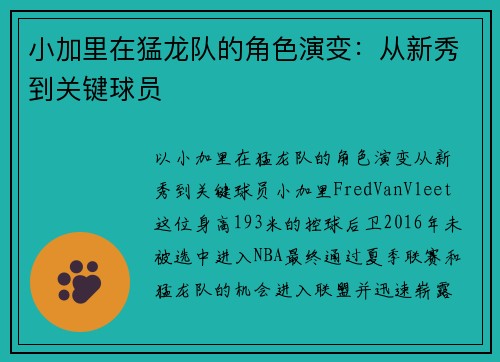 小加里在猛龙队的角色演变：从新秀到关键球员