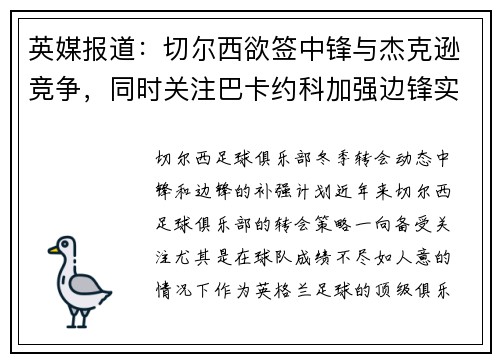 英媒报道：切尔西欲签中锋与杰克逊竞争，同时关注巴卡约科加强边锋实力