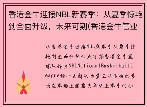 香港金牛迎接NBL新赛季：从夏季惊艳到全面升级，未来可期(香港金牛管业)